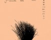 Poster for theatre play 'Leda'